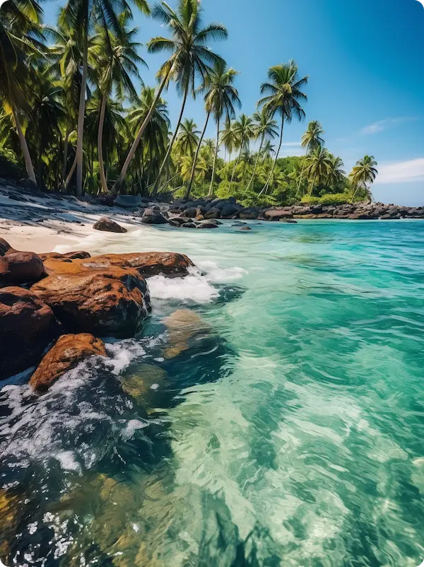 Tropical beach paradise